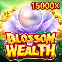 Dịch vụ cao cấp win555 win