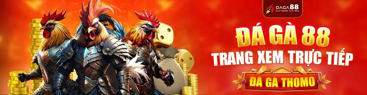 Quyền lợi của người chơi Win555 Win