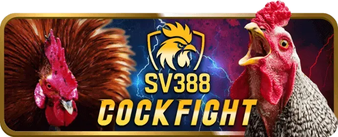 Khuyến mãi chào mừng thành viên mới WIN555 WIN